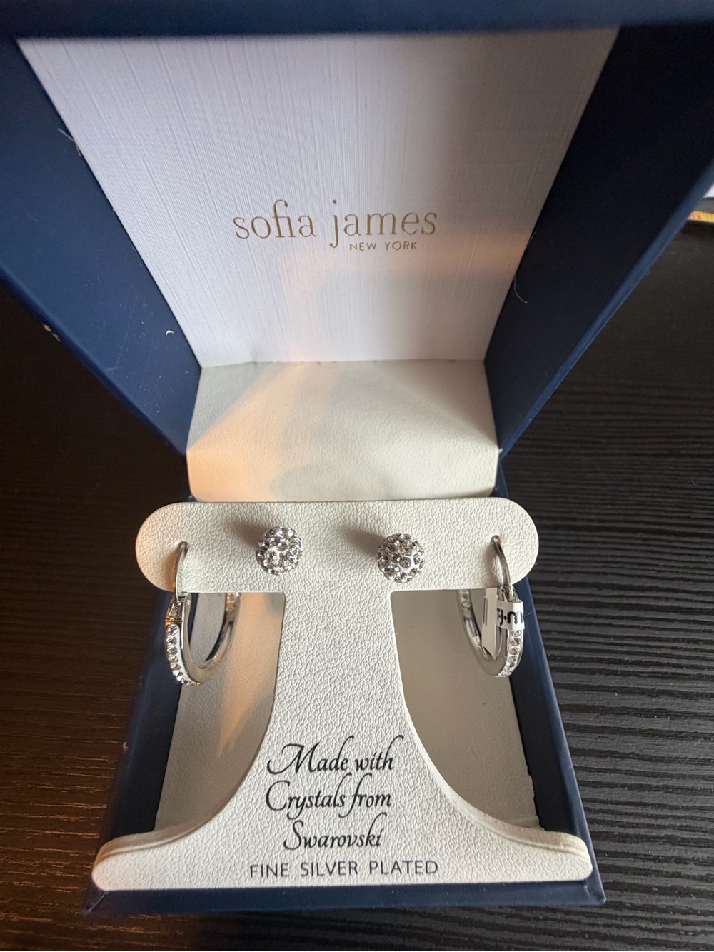Sofia James Silver-Plated Crystal Hoop & Stud Earring Set - Silver